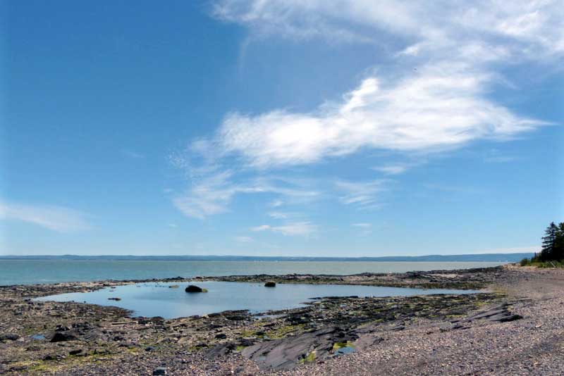 Cap-aux-Oies : bâche laissée par la marée